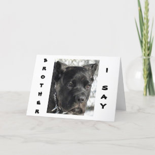 CARTÃO CANE CORSO QUER CELEBRAR O ANIVERSÁRIO DO IRMÃO