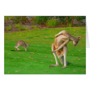 Cartão canguru & joey