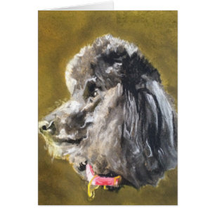 Cartão Caniche padrão