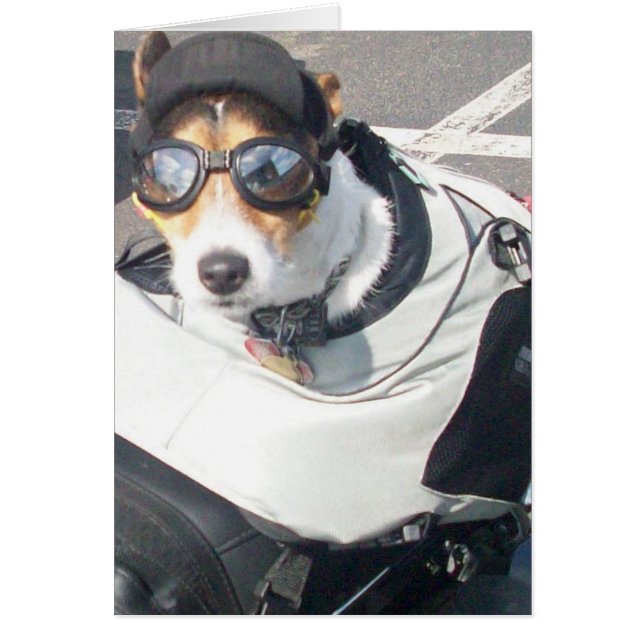 Cartão Canina (Frente)