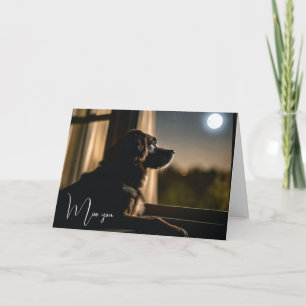 Cartão Canina Na Janela