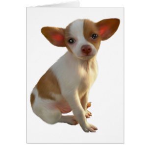 Cartão Canino