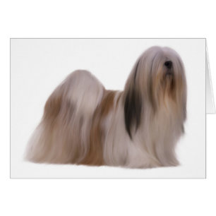 Cartão Canino