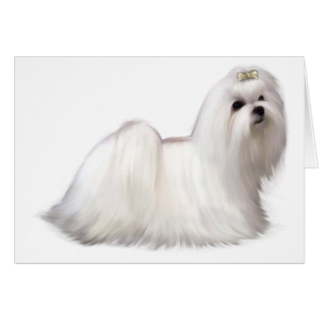 Cartão Canino (Frente Horizontal)