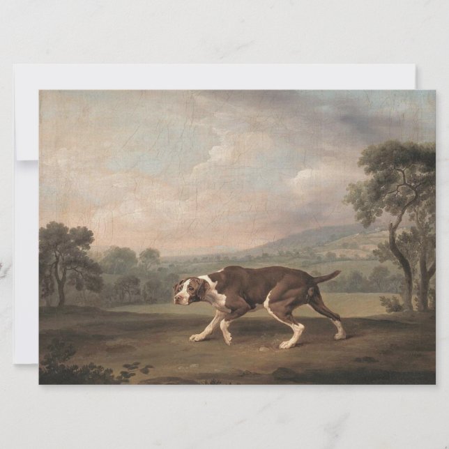 Cartão Canino Espanhol (por George Stubbs) (Frente)