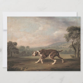 Cartão Canino Espanhol (por George Stubbs)