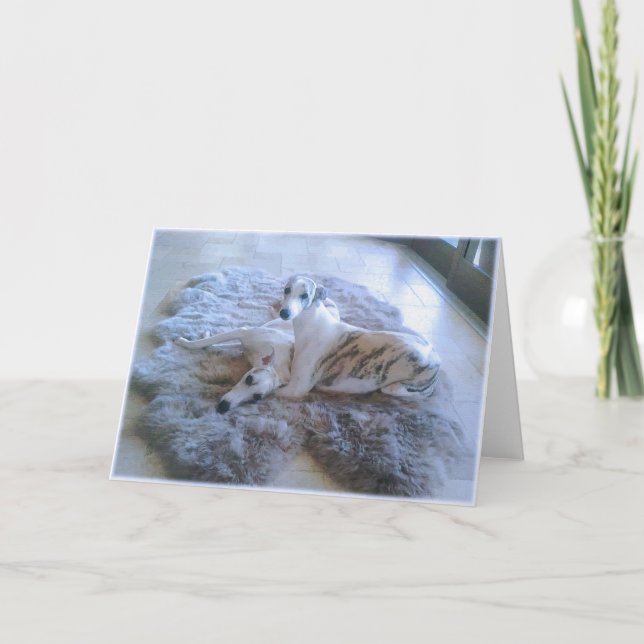 Cartão Caninos (Frente)