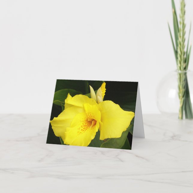 Cartão Canna amarelo (Frente)