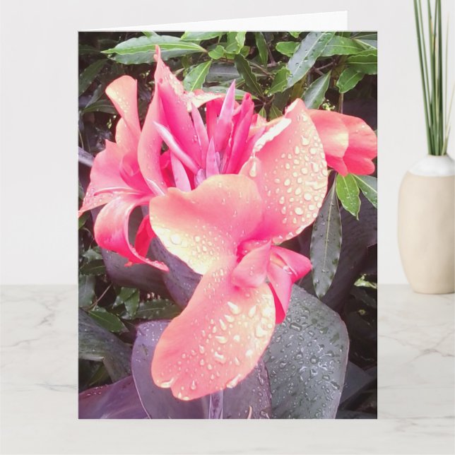 Cartão Canna Lily Photo BIG Card e Insp Photo/words trase (Frente)
