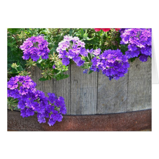 Cartão Cano De Flores (Frente Horizontal)