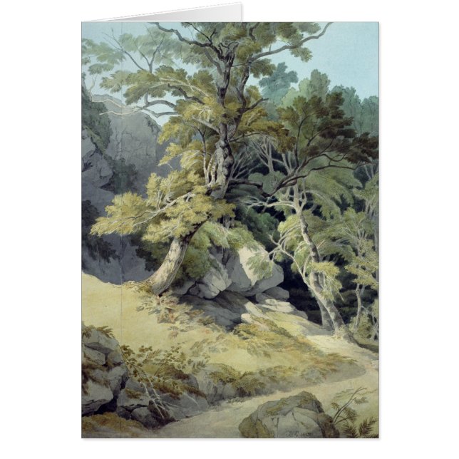 Cartão Canonteign, Devon (Frente)