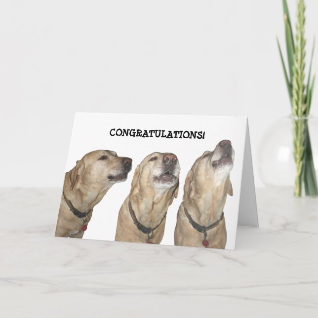 Cartão Cantando Seus Louvados (Frente)