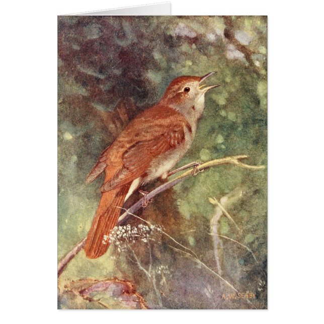 Cartão Canto do rouxinol (Frente)