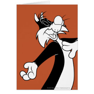 Cartão Cantor SYLVESTER™