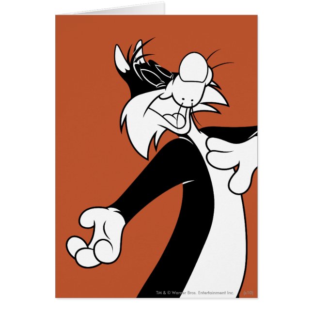 Cartão Cantor SYLVESTER™ (Frente)