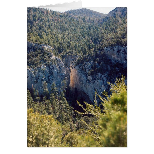 Cartão Canyon of Light (Frente)