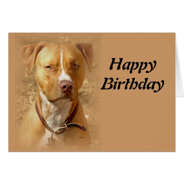 Cartão cão (Frente Horizontal)