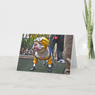 Cartão Cão Amarelo
