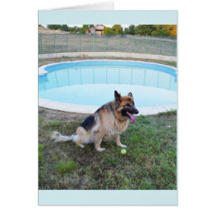 Cartão Cão anjo sentado com bola