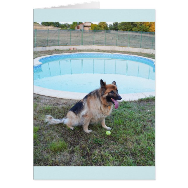 Cartão Cão anjo sentado com bola (Frente)