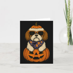 Cartão Cão Assustador Shih Tzu Abóbora Dia das Bruxas Ama