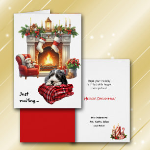 Cartão Cão Bearded Collie Esperando pelo Natal