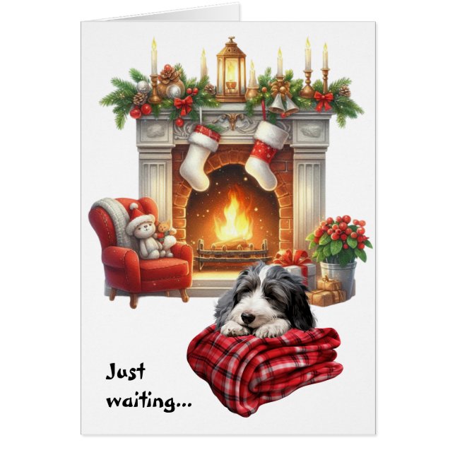Cartão Cão Bearded Collie Esperando pelo Natal (Frente)