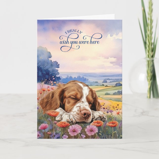 Cartão Cão Brittany Spaniel Flores Silvestres Sinto Sauda (Frente)