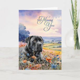 Cartão Cão Cane Corso Flores Silvestres Vista Panorâmica