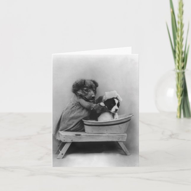 Cartão Cão-Cão (Frente)