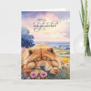 Cartão Cão Chow Chow Flores Silvestres Vista Cênica Sauda