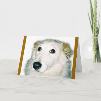 Cartão cão culpado