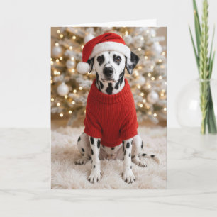 Cartão Cão Dálmata de Natal com Suéter Vermelho