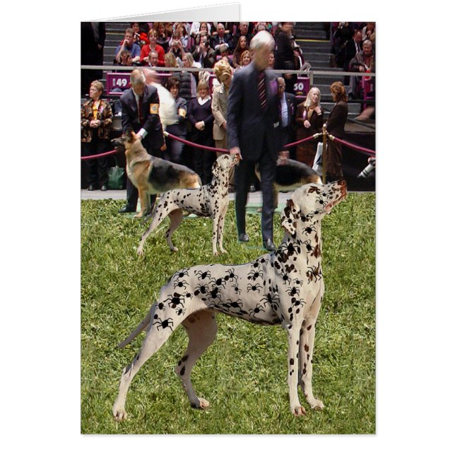 Cartão Cão Dalmatian engraçado da mostra (Frente)