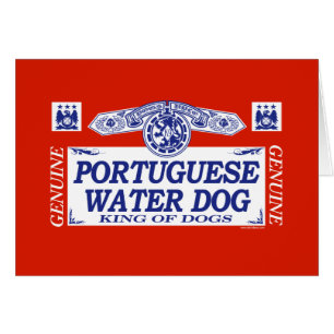Cartão Cão de água português