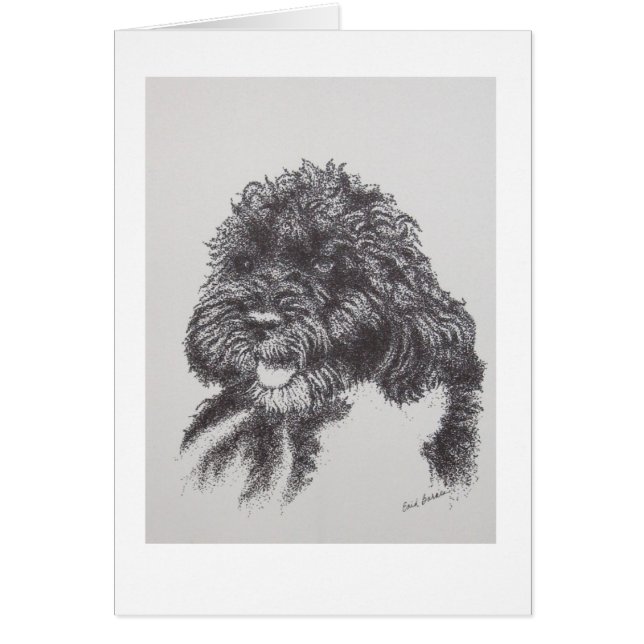 Cartão Cão de água português BO Obama (Frente)