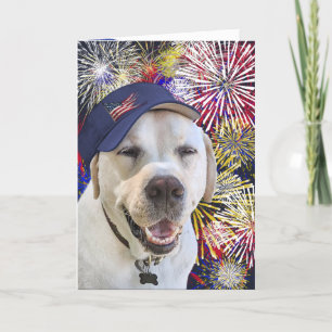 Cartão Cão de Aniversário Patriótico e Fogos de Artifício