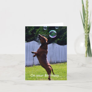 Cartão Cão de Bolha de Aniversário
