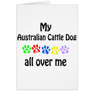 Cartão Cão de Bovinos Australiano