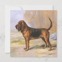 Cão de Caça