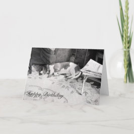 Cartão Cão de cão