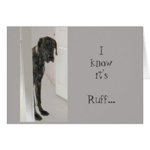 Cartão Cão de estimação de great dane foi pavão-do-mar