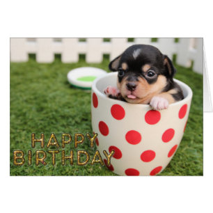 Cartão Cão de filhote de cachorro bonito