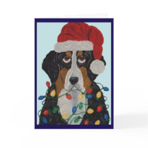 Cão de Montanha Bernês Enroscado Em Luzes De Natal