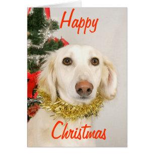 Cartão Cão de Natal 2