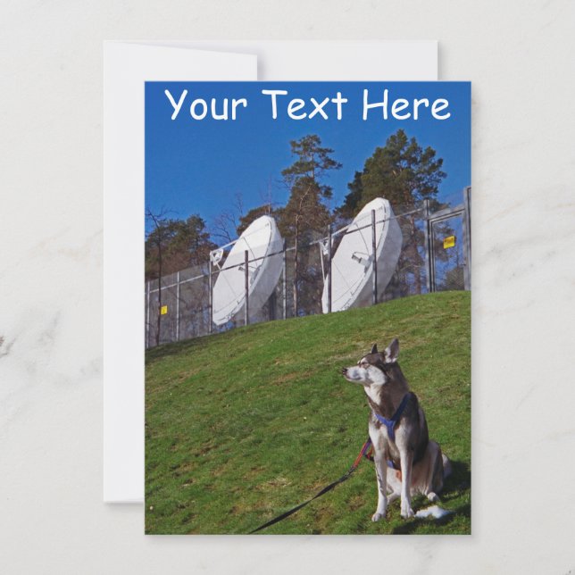 Cartão Cão de rastreador personalizável (Frente)