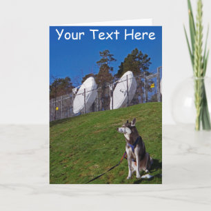Cartão Cão de rastreador personalizável