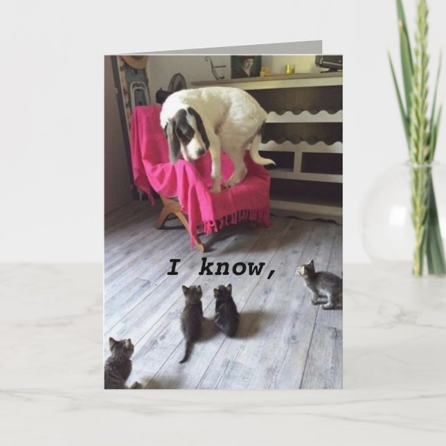 CARTÃO CÃO DE SCARDY (Frente)