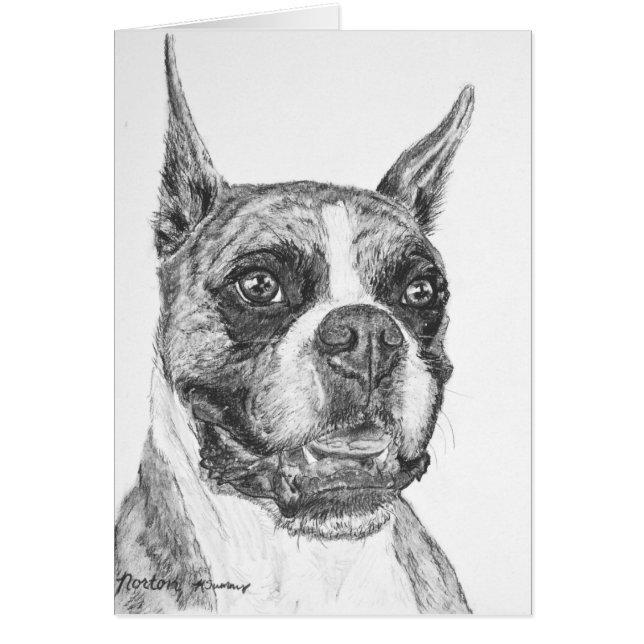 Cartão Cão do pugilista (Frente)