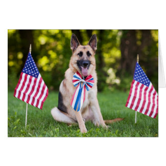 Cartão Cão "falcão " do salvamento